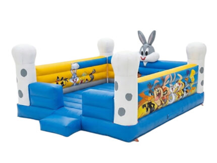 Bugs Bouncy Castle